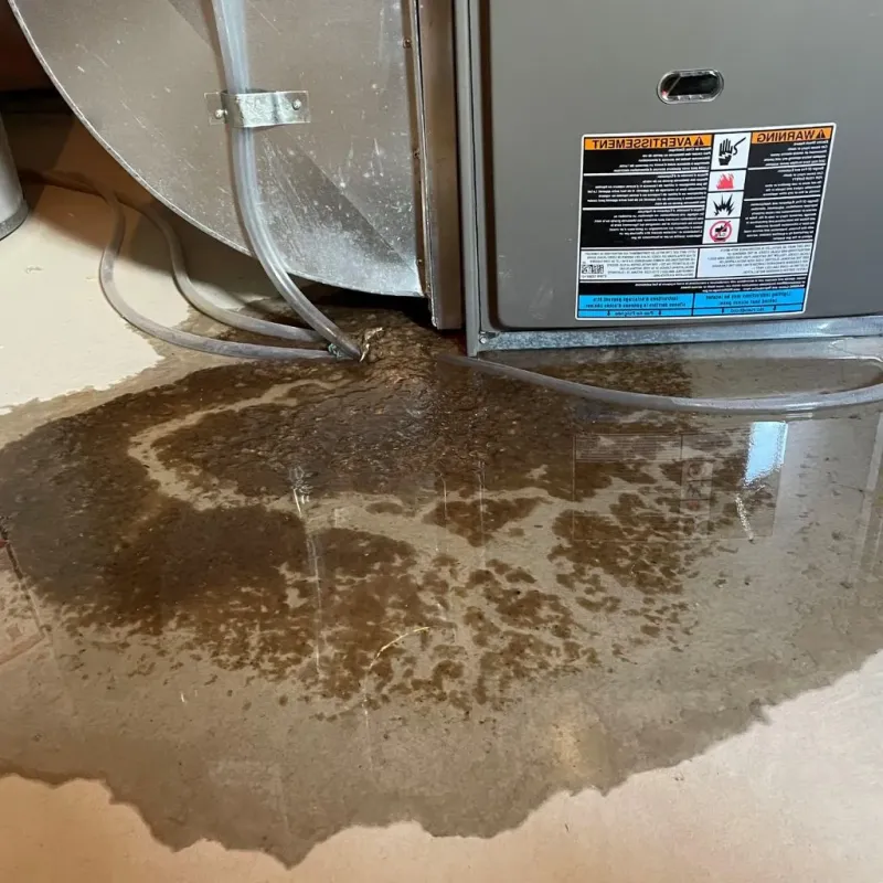 Pipe Burst and Leak Restoration in Bell County, KY