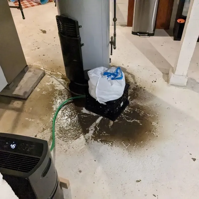 Sewage Backup Cleanup Service in Bell County, KY
